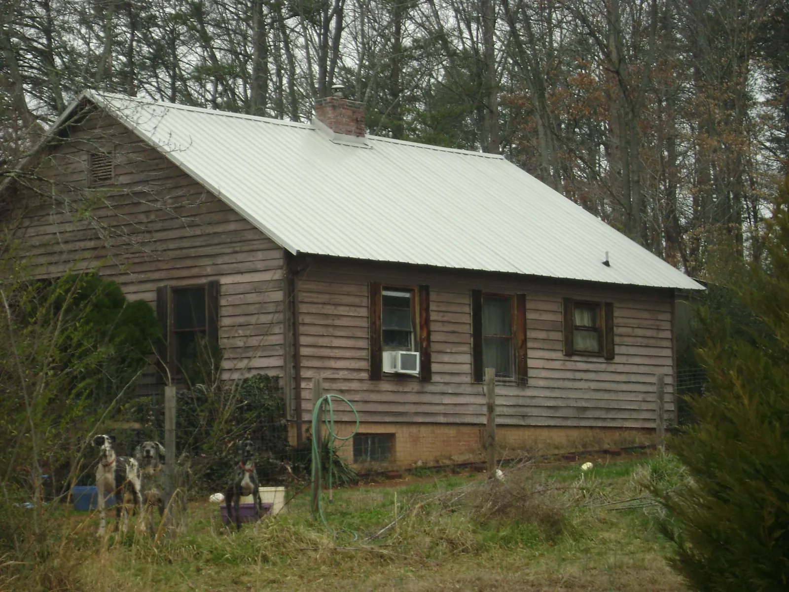 White metal roof on an old wood sided farmhouse, from a Asphalt Shingle Roof Repair job in Castalia